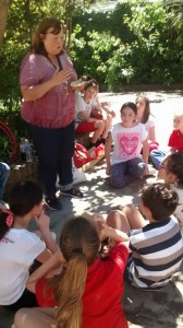 23434928_510711619287317_1329245287164102170_n