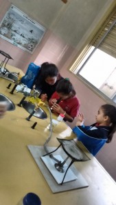 1ADCA914-A9FC-4019-A5C5-9DBA0828FC60