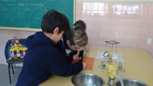 450ADE1A-B190-4D1A-8229-EED1B7A63106