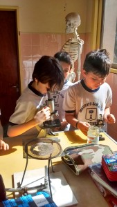 4EDED660-F81B-46EF-9479-9FC6F4A14C19