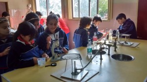 7A9CE1BE-801F-42D3-9540-53771C27B882