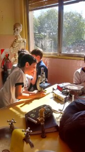 A08E6007-83FD-41AF-94ED-F9DF0910D54E