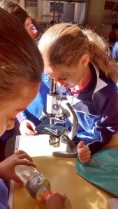 CC8393C4-E8A7-4733-886C-3BC3FFD5C86E