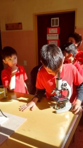 D582F8DB-90B4-4321-A479-54CAB6FD8634