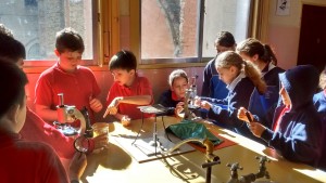 D8086FFF-996B-4A23-BF33-771C2C0859A1